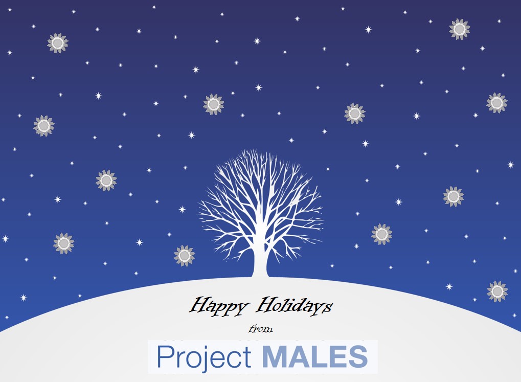 PM Holiday Card, 2013