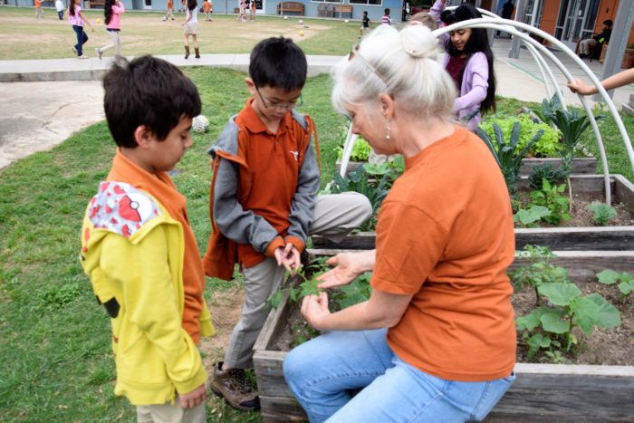 image of two boys and teacher in garden