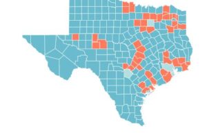 graphic of Texas mental health providers