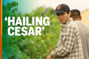 Hailing Cesar Save the Date poster
